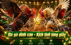 Sảnh Đá Gà lapatcreatrice